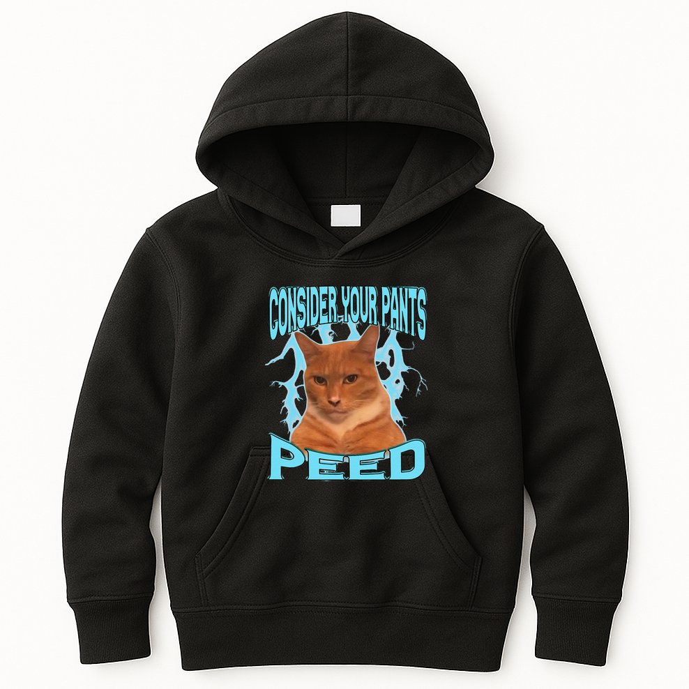 Consider Your Pants Peed Silly Cat Meme Kids Hoodie
