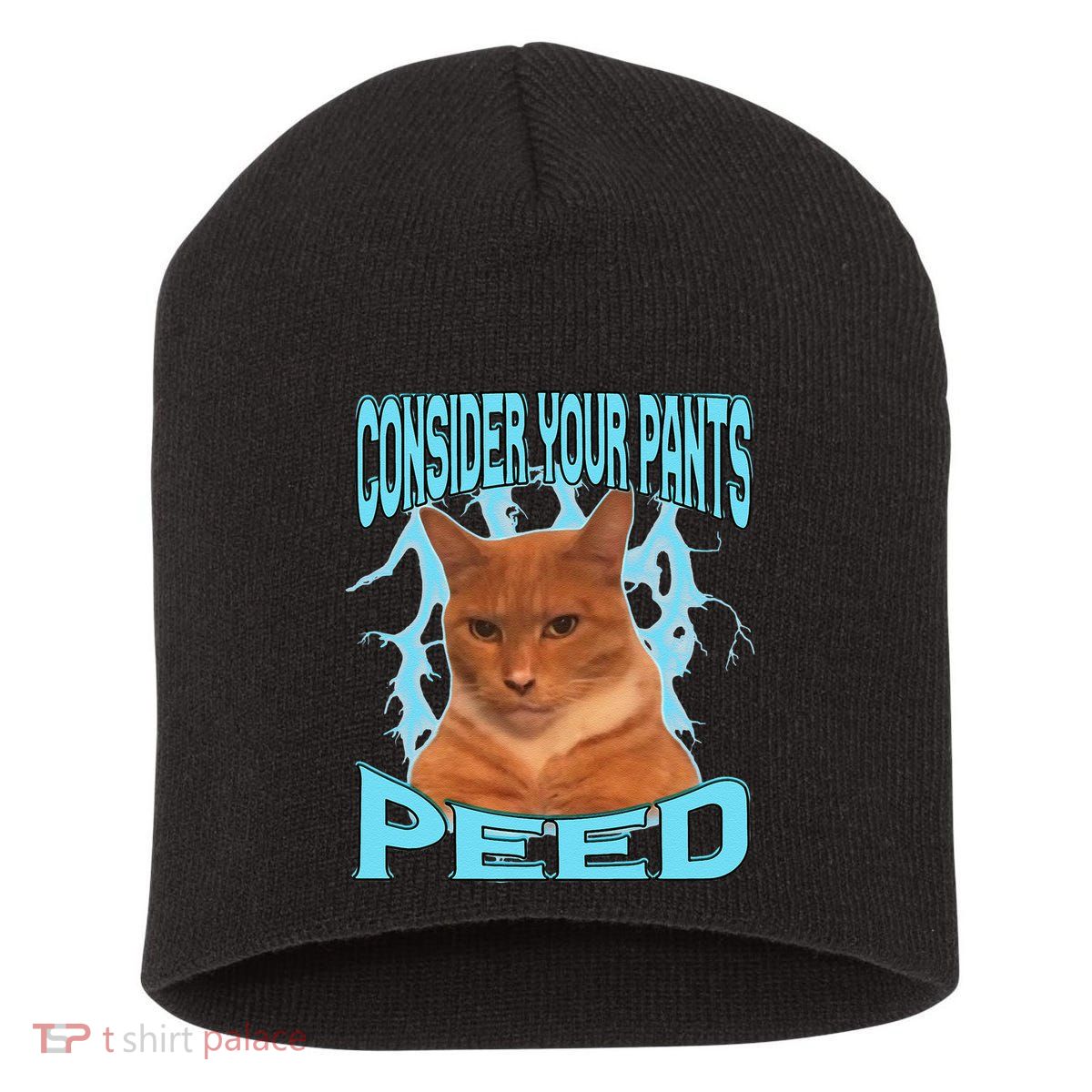 Consider Your Pants Peed Silly Cat Meme Short Acrylic Beanie