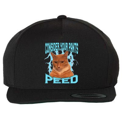 Consider Your Pants Peed Silly Cat Meme Wool Snapback Cap