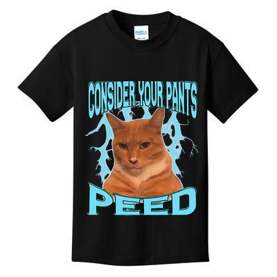 Consider Your Pants Peed Silly Cat Meme Kids T-Shirt