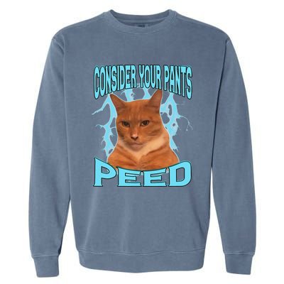 Consider Your Pants Peed Silly Cat Meme Garment-Dyed Sweatshirt