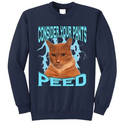 Consider Your Pants Peed Silly Cat Meme Sweatshirt