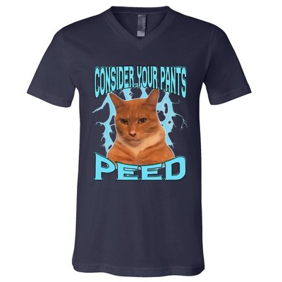 Consider Your Pants Peed Silly Cat Meme V-Neck T-Shirt