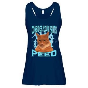 Consider Your Pants Peed Silly Cat Meme Ladies Essential Flowy Tank