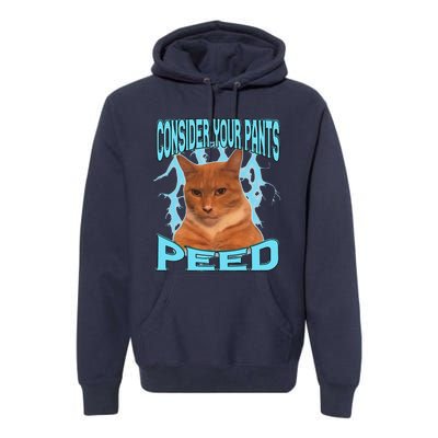 Consider Your Pants Peed Silly Cat Meme Premium Hoodie