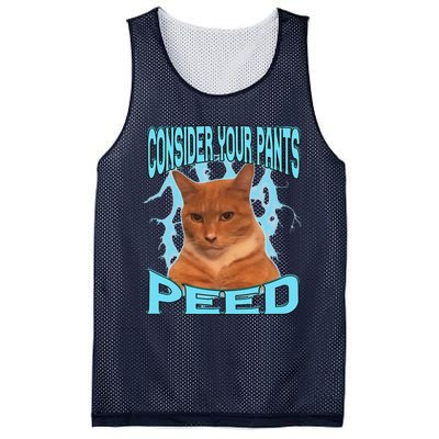 Consider Your Pants Peed Silly Cat Meme Mesh Reversible Basketball Jersey Tank