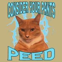 Consider Your Pants Peed Silly Cat Meme Cooling Performance Crew T-Shirt