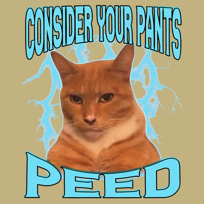 Consider Your Pants Peed Silly Cat Meme Cooling Performance Crew T-Shirt