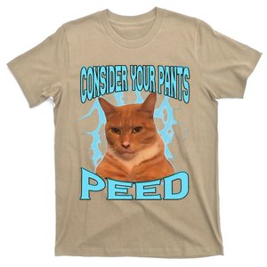 Consider Your Pants Peed Silly Cat Meme T-Shirt