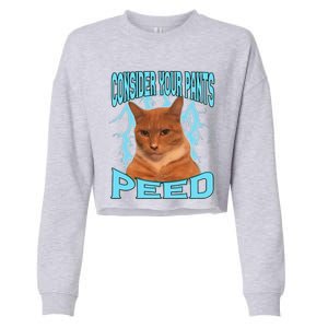 Consider Your Pants Peed Silly Cat Meme Cropped Pullover Crew