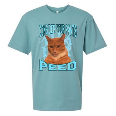 Consider Your Pants Peed Silly Cat Meme Sueded Cloud Jersey T-Shirt