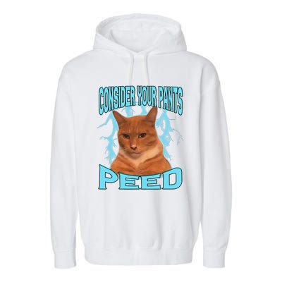 Consider Your Pants Peed Silly Cat Meme Garment-Dyed Fleece Hoodie