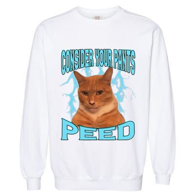 Consider Your Pants Peed Silly Cat Meme Garment-Dyed Sweatshirt