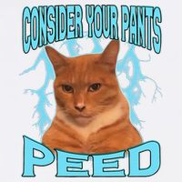 Consider Your Pants Peed Silly Cat Meme Garment-Dyed Sweatshirt