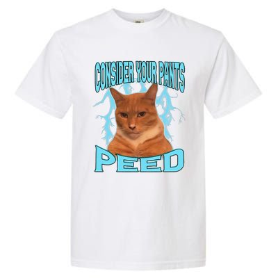 Consider Your Pants Peed Silly Cat Meme Garment-Dyed Heavyweight T-Shirt