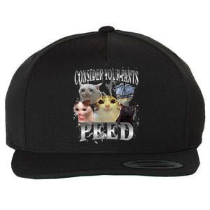 Consider Your Pants Peed Silly Cat Meme Graphic Joke Wool Snapback Cap