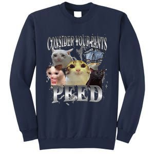 Consider Your Pants Peed Silly Cat Meme Graphic Joke Sweatshirt