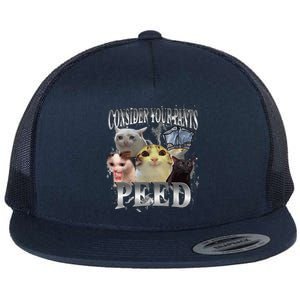 Consider Your Pants Peed Silly Cat Meme Graphic Joke Flat Bill Trucker Hat