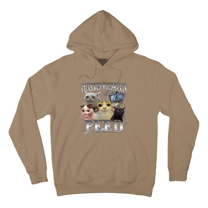 Consider Your Pants Peed Silly Cat Meme Graphic Joke Hoodie