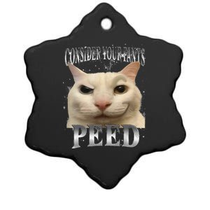 Consider Your Pants Peed Silly Cat Meme Ceramic Star Ornament