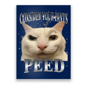 Consider Your Pants Peed Silly Cat Meme Poster