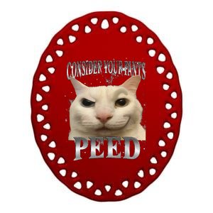 Consider Your Pants Peed Silly Cat Meme Ceramic Oval Ornament