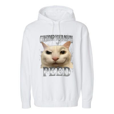 Consider Your Pants Peed Silly Cat Meme Garment-Dyed Fleece Hoodie