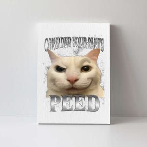 Consider Your Pants Peed Silly Cat Meme Canvas