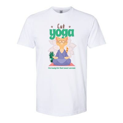 Cat Yoga Shirt Cat Lover Yoga Pose Funny Cat Funny Yoga Cute Cat Doing Yoga Softstyle CVC T-Shirt