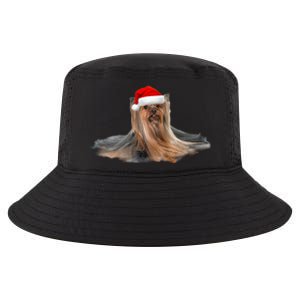 Cute Yorkshire Terrier Christmas Gift Santa Long Hair Yorkie Great Gift Cool Comfort Performance Bucket Hat