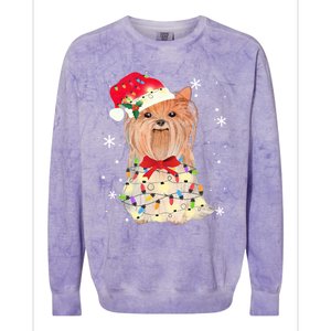 Christmas Yorkshire Terrier Gift Colorblast Crewneck Sweatshirt