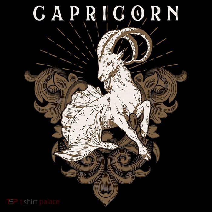 Capricorn Zodiac Astrology Horoscope Birthday Sun Sign T-Shirt
