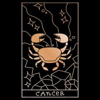 Cancer Zodiac Hoodie