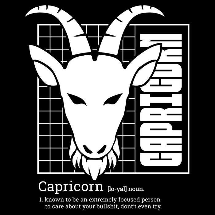 Capricorn Zodiac Definition T-Shirt