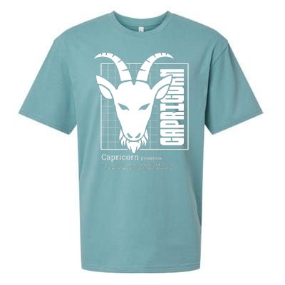 Capricorn Zodiac Definition Sueded Cloud Jersey T-Shirt