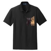 Cat Zoning Out Meme Popular Internet Meme Dry Zone Grid Polo