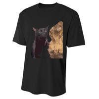 Cat Zoning Out Meme Popular Internet Meme Performance Sprint T-Shirt