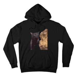 Cats Zoning Out Meme Hoodie