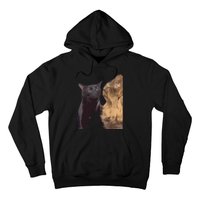 Cats Zoning Out Meme Hoodie