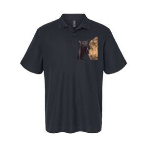 Cats Zoning Out Meme Softstyle Adult Sport Polo