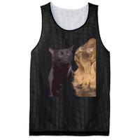 Cats Zoning Out Meme Mesh Reversible Basketball Jersey Tank