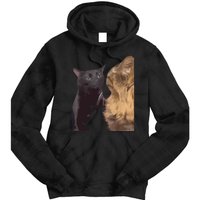 Cats Zoning Out Meme Tie Dye Hoodie