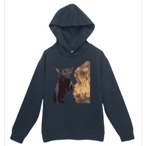 Cats Zoning Out Meme Urban Pullover Hoodie