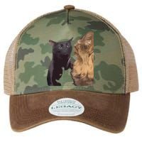Cat Zoning Out Meme Popular Internet Meme Legacy Tie Dye Trucker Hat