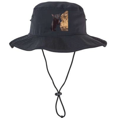 Cat Zoning Out Meme Popular Internet Meme Bucket Hat