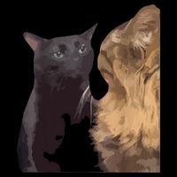Cat Zoning Out Meme Popular Internet Meme 16 in Basic Backpack