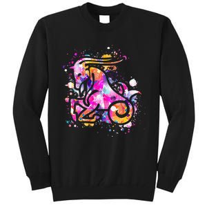 Capricorn Zodiac Sign Astrology Tall Sweatshirt