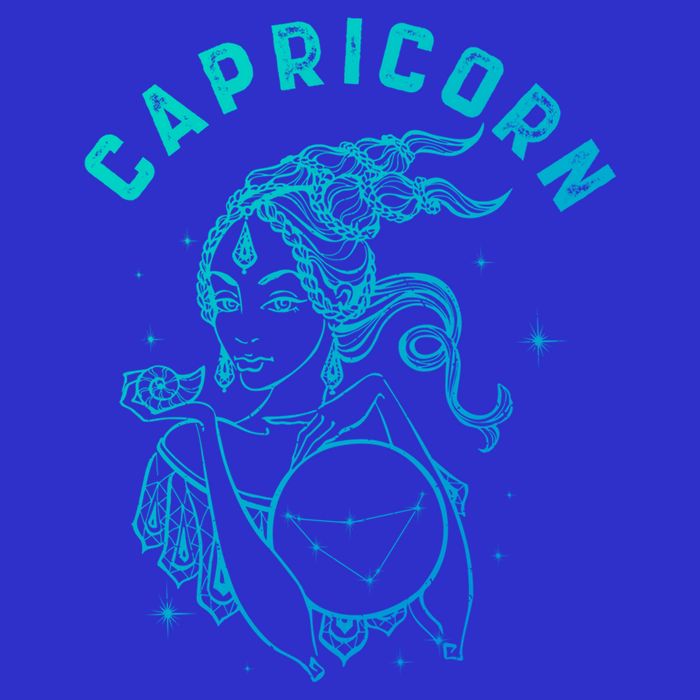 Capricorn Zodiac Sign Great Gift T-Shirt