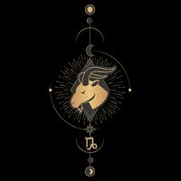 Capricorn Zodiac Symbol Cosmic Cool Astrology Lover Gifts Bag