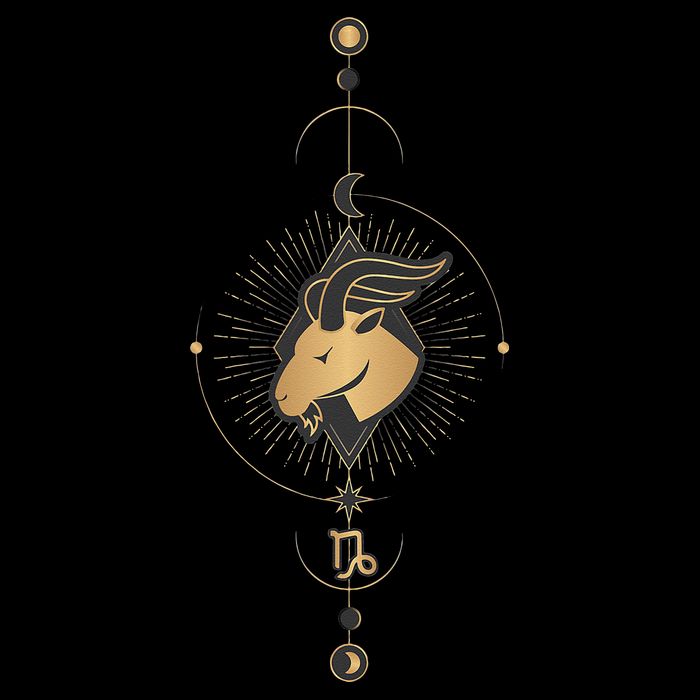 Capricorn Zodiac Symbol Cosmic Cool Astrology Lover Gifts Bag